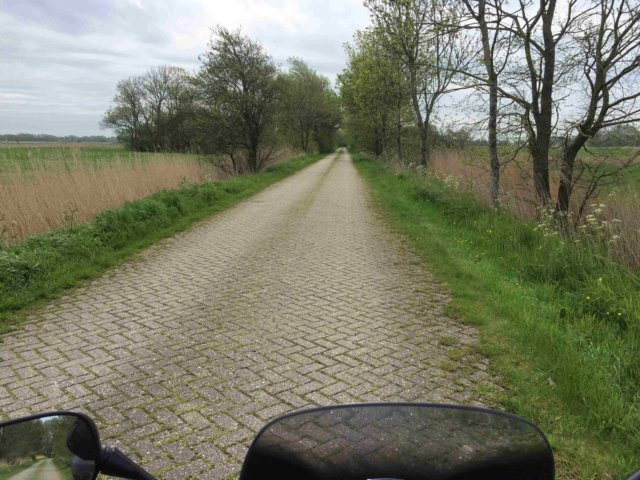 hollandmcferiemaj201532.jpg