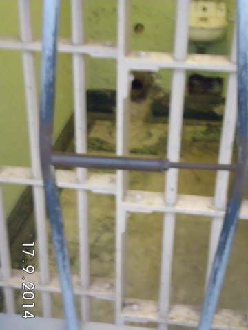 alcatraz25.jpg