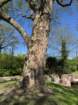 bremenapril202584_small.jpg