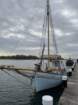kappelnapril202522_small.jpg